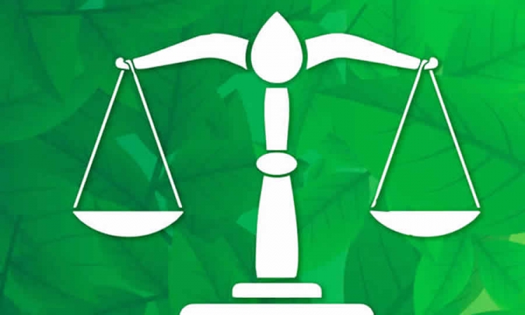Interpretación jurídica de la ANT sobre la conciliación extrajudicial en la implementación del procedimiento único