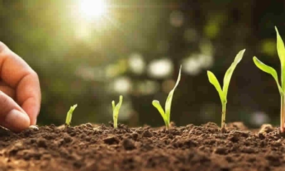 “Gobierno de Iván Duque pone en marcha plan de financiamiento para incentivar producción agropecuaria en 2022”