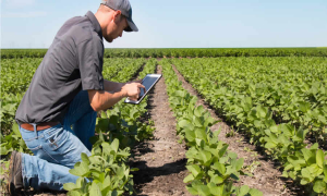 MinAgricultura propone declarar APPA en 17 municipios de Córdoba para proteger suelos agrícolas y ecosistemas productivos