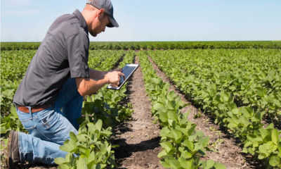 MinAgricultura propone declarar APPA en 17 municipios de Córdoba para proteger suelos agrícolas y ecosistemas productivos