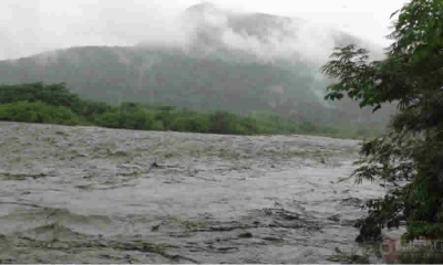 El Municipio de Tame y el Departamento de Arauca, en coordinación con la UNGRD y Corporinoquia, deben adelantar las gestiones necesarias y las obras para impedir el desbordamiento del río Cravo, en la vereda La Holanda