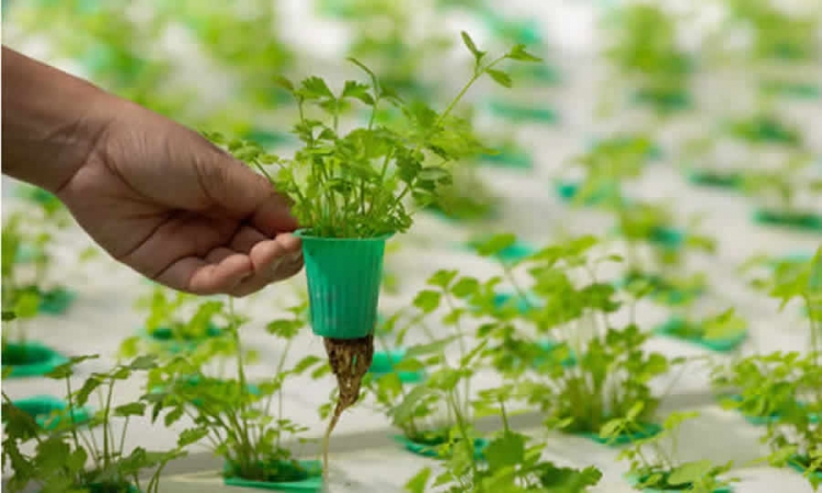 Proyecto de norma de FINAGRO modifica disposiciones sobre las actividades financiables por las LEC
