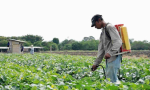 Gobierno impulsó línea de bioinsumos y fertilizantes orgánicos para fortalecer la transición agroecológica
