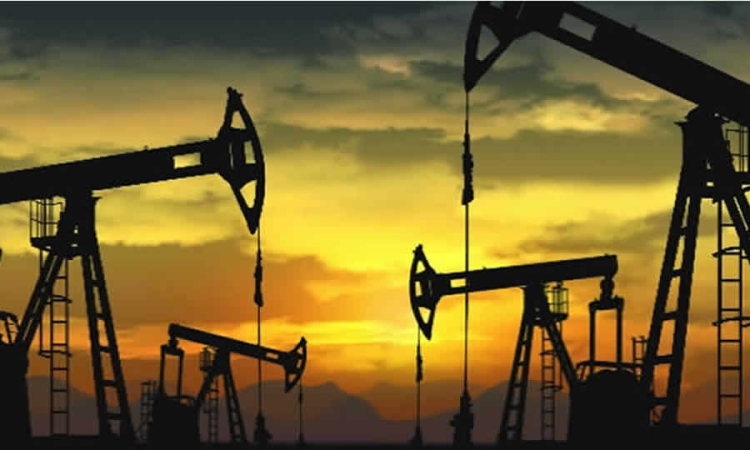 El marco normativo de la Fiscalización de la exploración y explotación de recursos naturales no renovables y funciones de la ANM fueron definidos por la Entidad