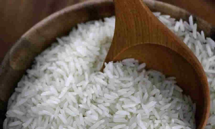 MinAgricultura estableció el programa de apoyo a la comercialización de arroz paddy verde, en el departamento de Norte de Santander para el 2021