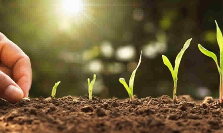 Fue presentado para estudio de la Cámara proyecto que busca crear el Sistema Nacional de Insumos Agropecuarios (SINA)