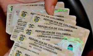 Instrucciones de MinTransporte dirigidas a los organismos de tránsito, relacionadas con la expedición de licencias de conducir por equivalencia entre Colombia y Argentina