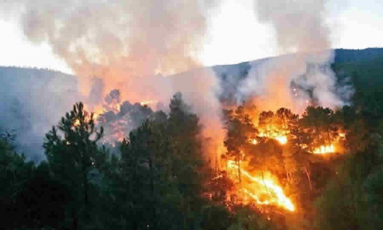MinAmbiente: quemas abiertas controladas en áreas rurales con fines de preparación del suelo en actividades agrícolas, son permitidas