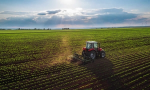 ANLA inició sancionatorio ambiental en contra de la sociedad Gran Tierra Energy Colombia Llc Sucursal, por incumplimiento de obligaciones de Plan de Manejo Ambiental de proyecto en Putumayo