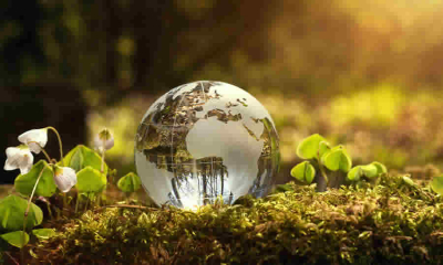 Minambiente fijó el cupo global para el otorgamiento de autorizaciones de aprovechamiento forestal de bosques naturales en la jurisdicción de CODECHOCO