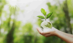 MinAmbiente aclaró disposiciones sobre el alcance del permiso de recolección de especímenes de la diversidad biológica con fines no comerciales