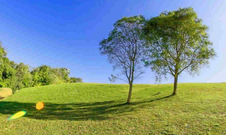 MinAmbiente: la conformación del Consejo Directivo de las Corporaciones Autónomas Regionales es diferente a la del Consejo Directivo de las Corporaciones de Desarrollo Sostenible
