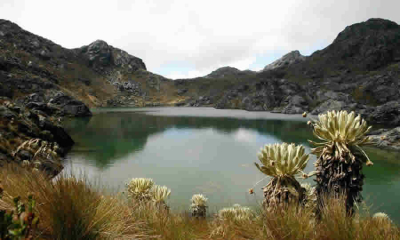 MinAmbiente formalizó el registro de la reserva forestal protectora de las quebradas El Peñón, San Juan y la cuenca Alta del Río Jirocasaca en el RUNAP