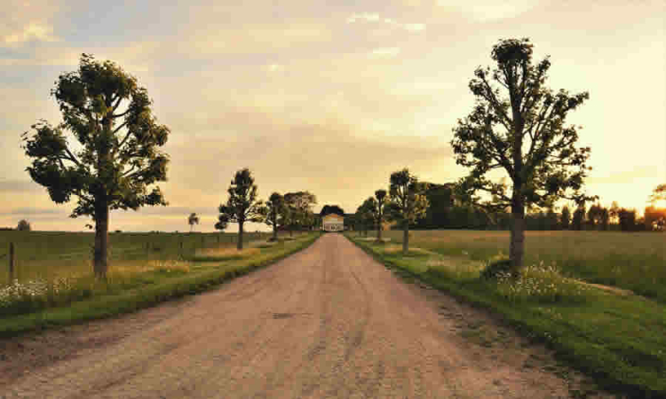 Recomendaciones de la SIC al proyecto de MinAgricultura que busca impulsar bioinsumos y acondicionadores de suelos