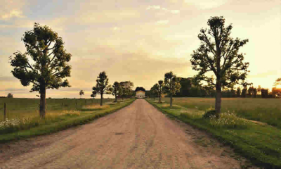 Recomendaciones de la SIC al proyecto de MinAgricultura que busca impulsar bioinsumos y acondicionadores de suelos