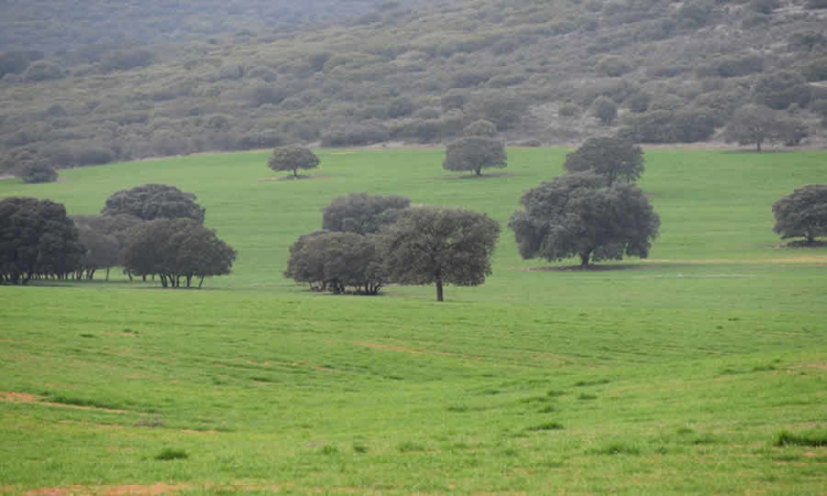 MinAmbiente recibirá comentarios al proyecto que formaliza el registro de la Reserva Forestal Protectora Nacional de la Cuenca Alta del Rio Cravo Sur, en el RUNAP