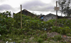 ANT precisó el procedimiento para la declaración de abandono de bienes muebles en baldíos objeto de recuperación material