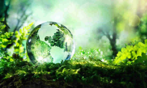 MinAmbiente: aplicación de licencia ambiental para tendidos de líneas del Sistema de Transmisión Regional