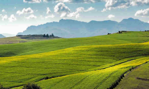 MinAgricultura modificó aspectos relacionados con la reglamentación de las materias técnicas del Sistema Nacional de Innovación Agropecuaria