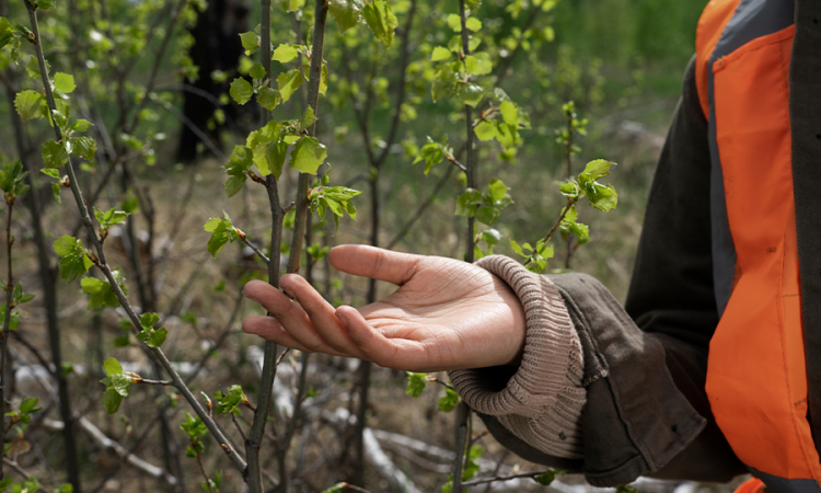 Ministerio de Ambiente explica las nuevas reglas para aplicar la amonestación como sanción ambiental