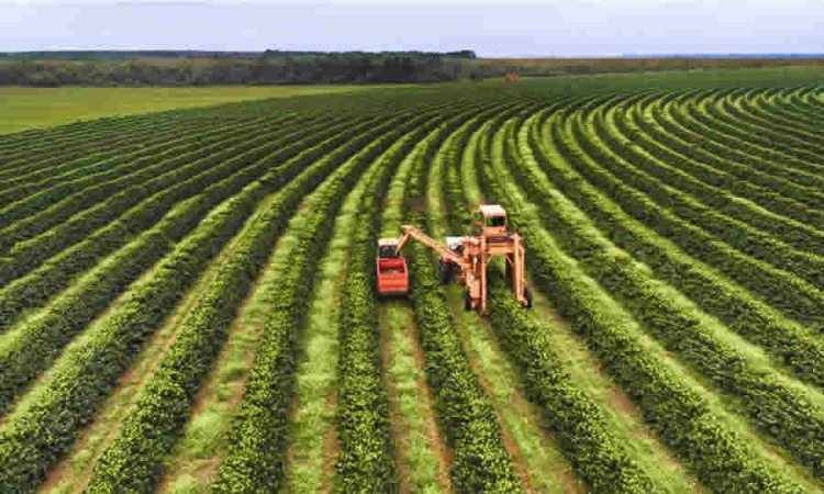 MinAgricultura promueve proyecto para la adaptación climática en el sector agropecuario a fin de asegurar sistemas agroalimentarios resilientes y sostenibles