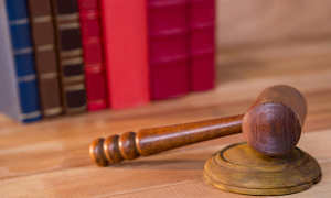 Corte ordenó a MinJusticia adelantar una jornada de capacitación del “Protocolo de atención a mujeres rurales para el acceso a la justicia y a la tierra” en el municipio de Concepción, Antioquia