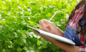 SIC avala proyecto de Decreto que busca actualiza la regulación de incentivos a productores agropecuarios