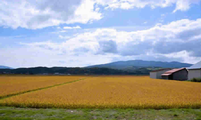 A comentarios proyecto de norma de MinHacienda que busca establecer el procedimiento para el pago de impuestos de predios en proceso de formalización de resguardos indígenas (PROPRI)
