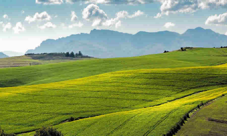 MinAgricultura creó el Incentivo Integral para la Gestión de Riesgos Agropecuarios (IIGRA)