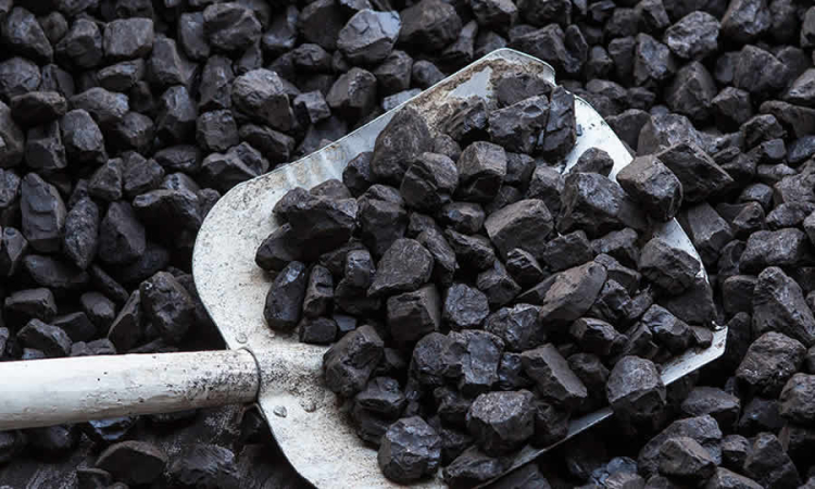 Proyecto de norma de MinCit extiende la vigencia del Reglamento Técnico para Pilas Zinc-Carbón y Alcalinas que se importen o fabriquen nacionalmente
