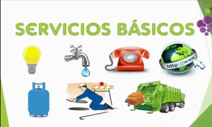 ¿Cuál es el debido proceso en la realización de visitas técnicas, la suspensión del servicio y los cargos por reconexión del servicio público de energía eléctrica?: SSPD