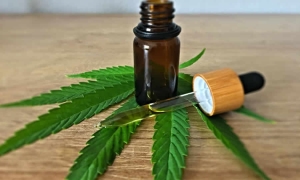 Colombia impulsa la transición energética en el agro con la primera granja solar para cannabis medicinal