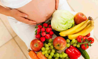 Texto de la Ley que establecen lineamientos para la formulación de la política pública de nutrición prenatal