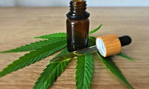 Gobierno reglamenta acceso seguro al cannabis para uso médico y veterinario en Colombia