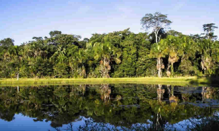 Proyecto de norma de la CAR busca adoptar el Plan de Manejo de la Reserva Forestal Protectora (RFP) Laguna del Cacique Guatavita y Cuchilla de Peña Blanca