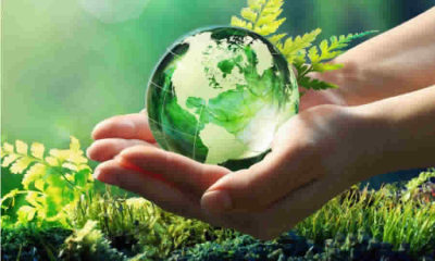 MinAmbiente precisa sobre quién recae la responsabilidad por los residuos peligrosos abandonados (RESPEL) cuando se desconoce su origen