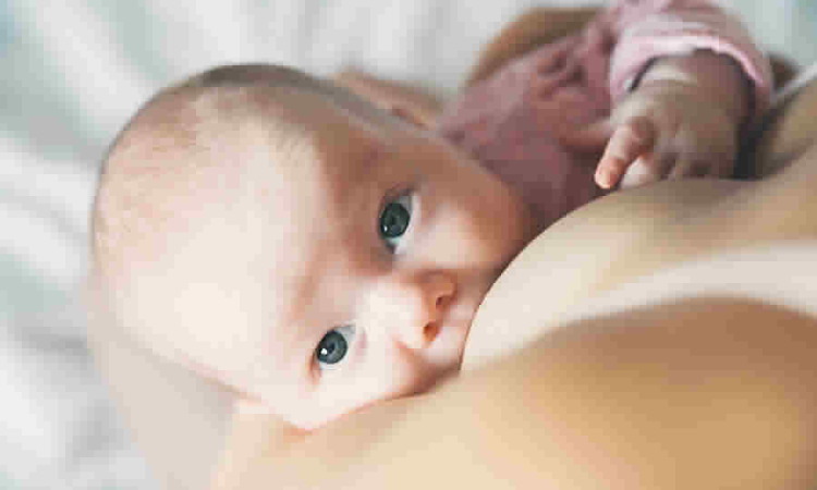 Texto de la Ley que aprueba el convenio relativo a la protección de la maternidad
