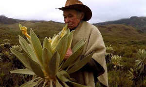ADR explicó la regulación de actividades agropecuarias en zonas de páramos: límites y requisitos legales