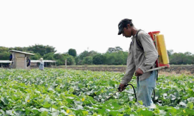 MinAmbiente clarifica normativa ambiental para servicios de fumigación y plaguicidas