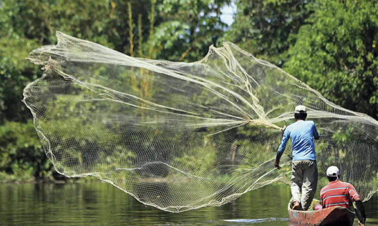 Ley busca fortalecer la lucha contra la pesca ilegal y proteger los recursos marinos