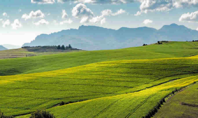 ICA busca establecer nuevos listados de enfermedades y vigilancia especial para proteger la sanidad agropecuaria en Colombia